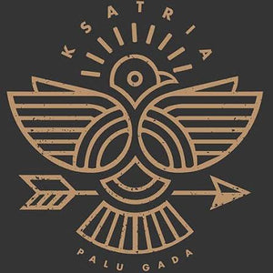 Ksatria Palu Gada