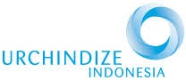 Urchindize